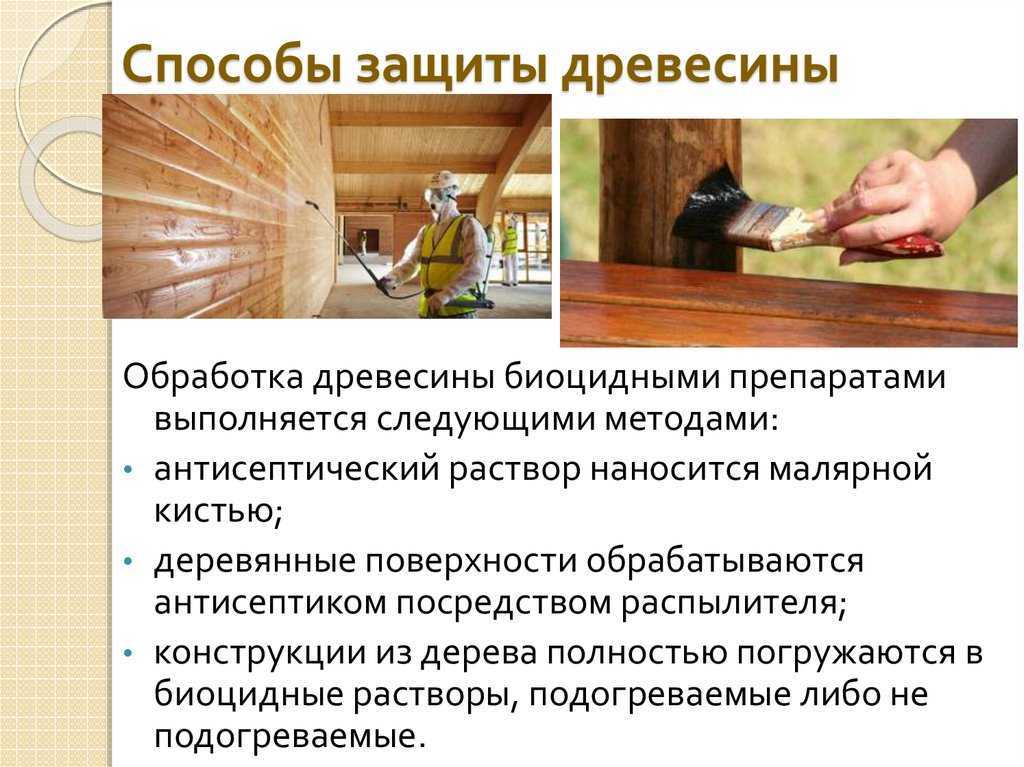 Антисептики для древесины: виды, характеристики, правила выбора