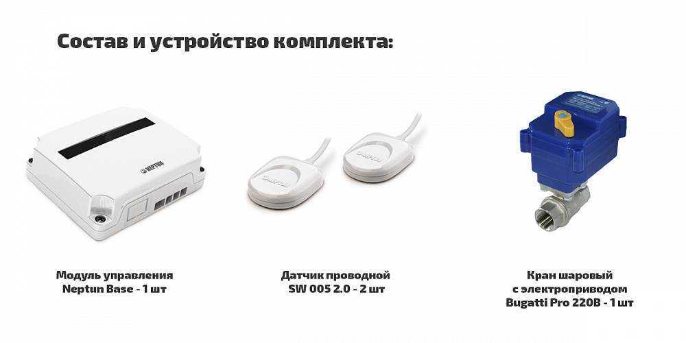 Грибок на стене в квартире: как обратиться в управляющую компанию с жалобой