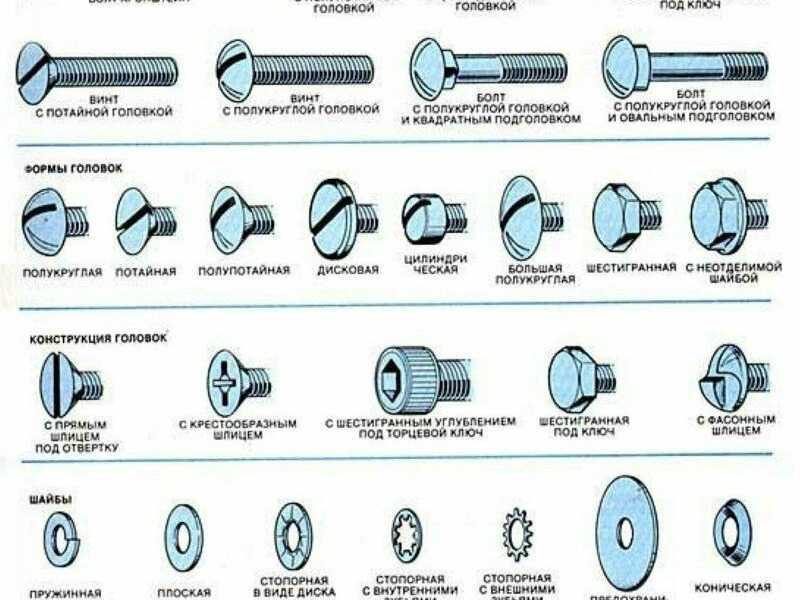 Виды винтов и болтов с картинками