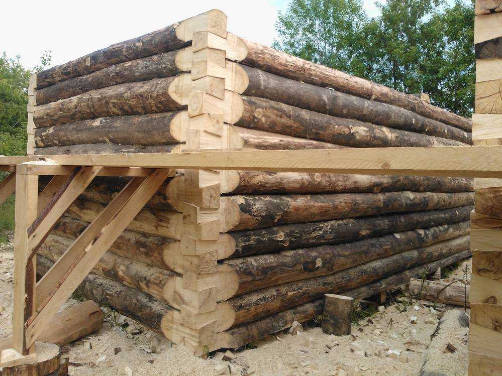Вагонка для бани, какая древесина лучше: липа, осина или ольха