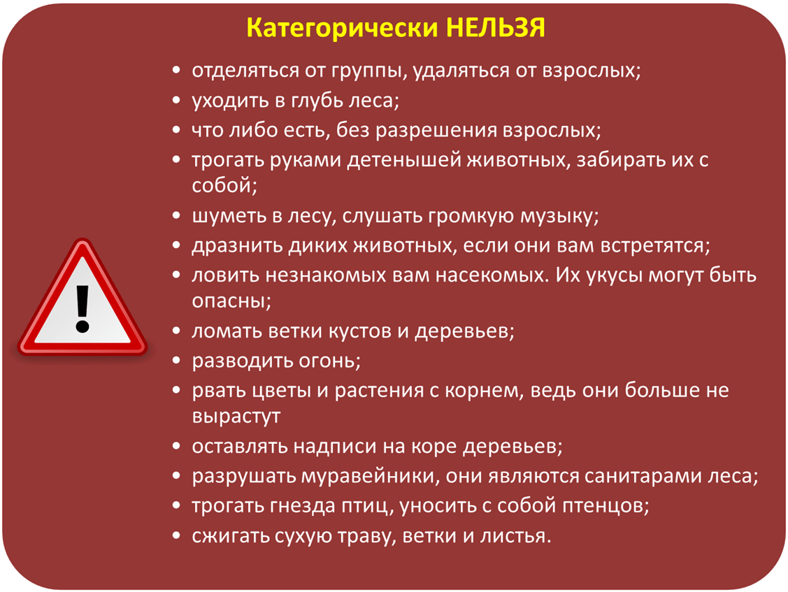 Что можно что нельзя делать завтра. Памятка поведения в лесу. Что нельзя делать в походе. Что нельзя делать в лесу. Памятка что нельзя делать в лесу.