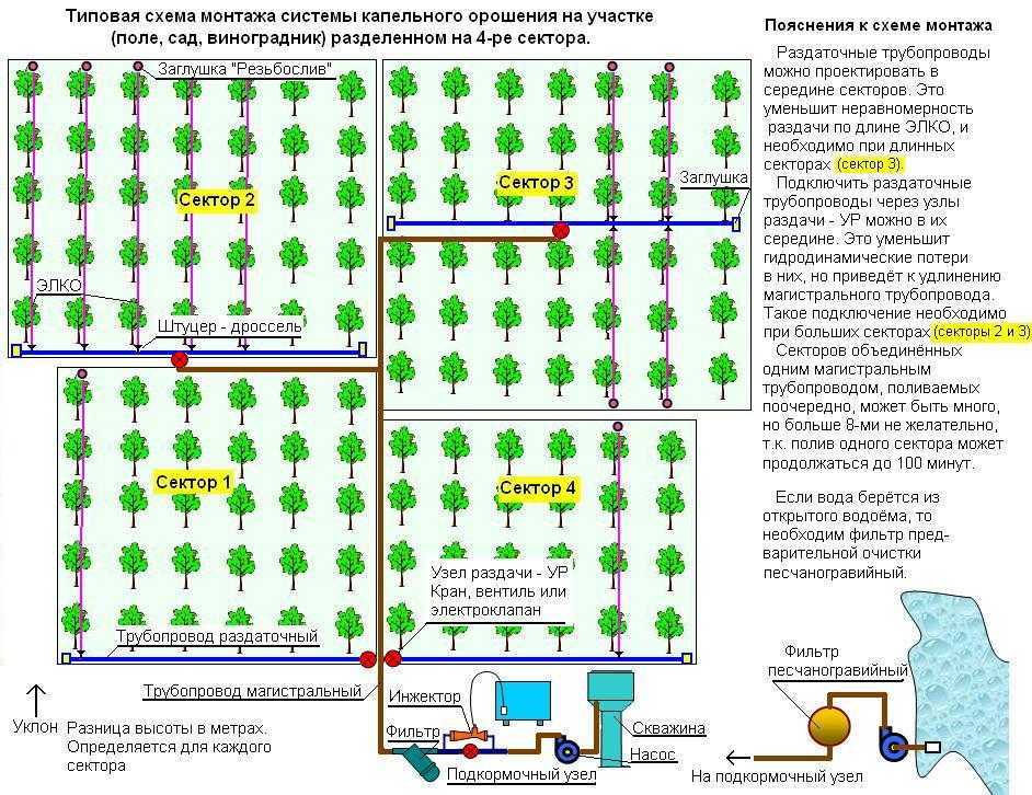 Схемы капельного полива и материалы для новичков