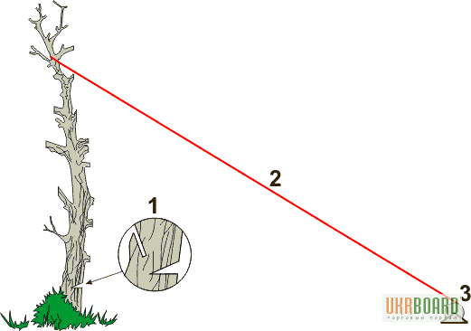Спилить дерево схема. Валка дерева в нужном направлении. Правильный подпил дерева. Правильная валка дерева бензопилой.