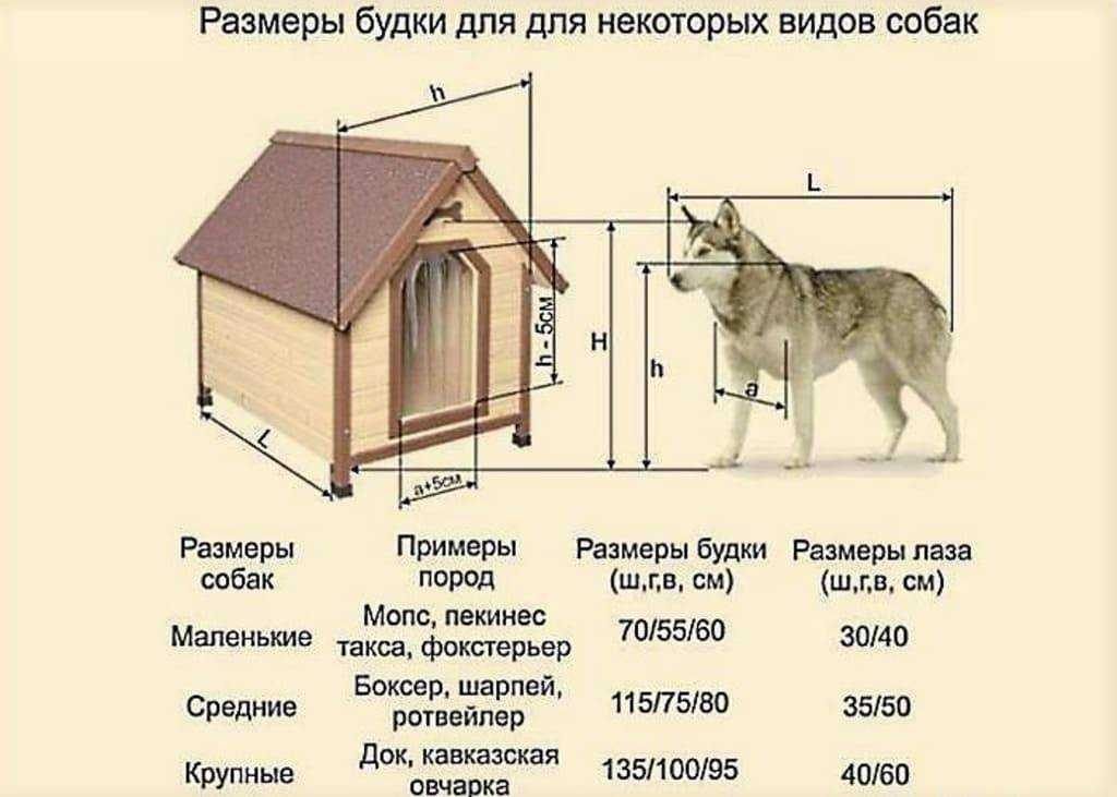 Вольер для собаки своими руками чертежи и размеры