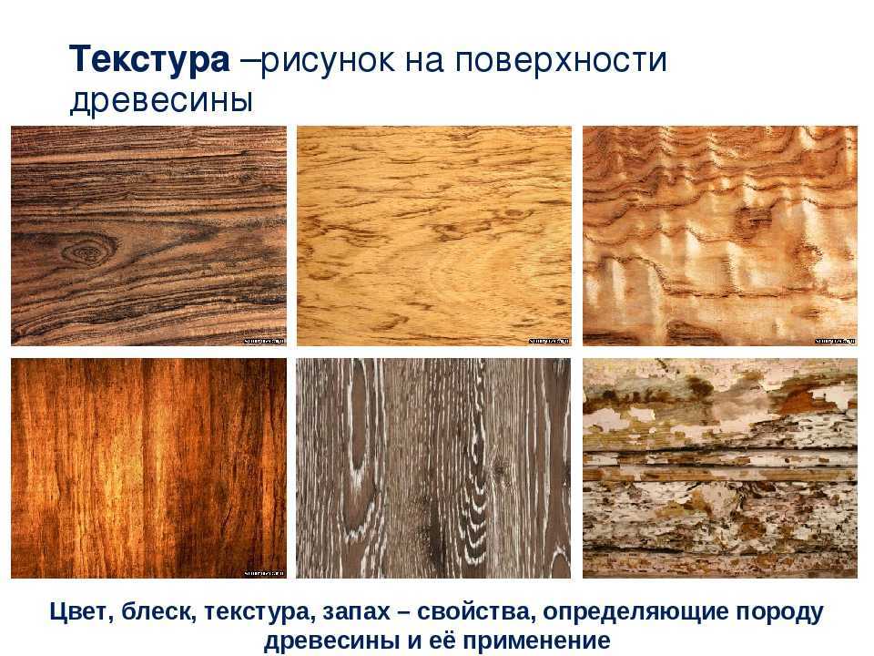 Рисунок поверхности древесины как называется