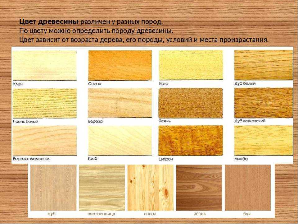 20 бизнес-идей для производства деревянных изделий