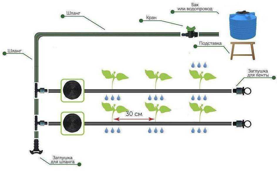 Система капельного полива схема